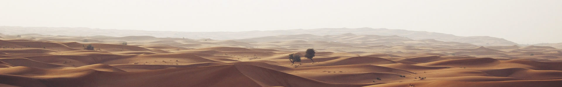 ʳʳƷó޹˾